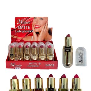 LABIAL EN BARRA 6 TONOS GZ8020152 (BOX X 24 UNIDADES)