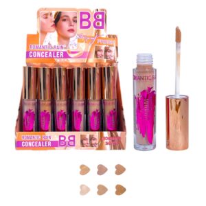 CORRECTOR 6 TONOS R0973 (BOX X 24 UNIDADES)