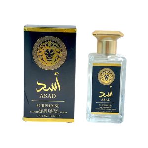 PERFUME BR12AR10 (100ML) (MIN 3 UND)