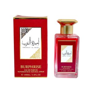 PERFUME BR12AR1 (100ML) (MIN 3 UND)