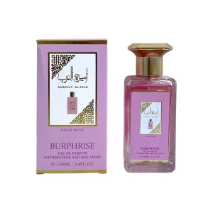 PERFUME BR12AR21 (100ML) (MIN 3 UND)