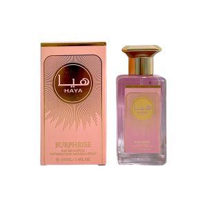 PERFUME BR12AR24 (100ML) (MIN 3 UND)