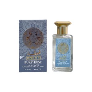 PERFUME BR12AR40 (100ML) (MIN 3 UND)