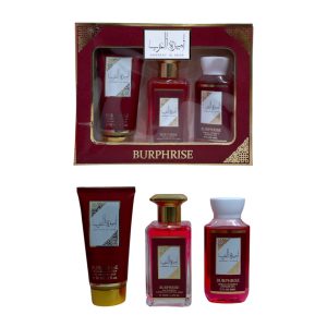 KIT LOCION Y CREMA BURPHRISE BR12AR1 (MIN 3 UND)