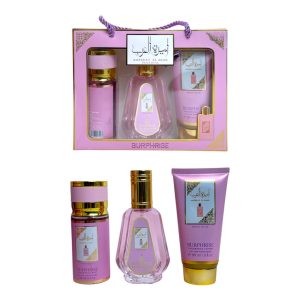 KIT LOCION Y CREMA BURPHRISE BR36AR21 (MIN 3 UND)