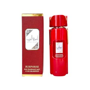 LOCION BURPHRISE BR53AR1 250ML (MIN 3 UND) 